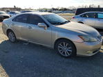 Lexus ES 2011
