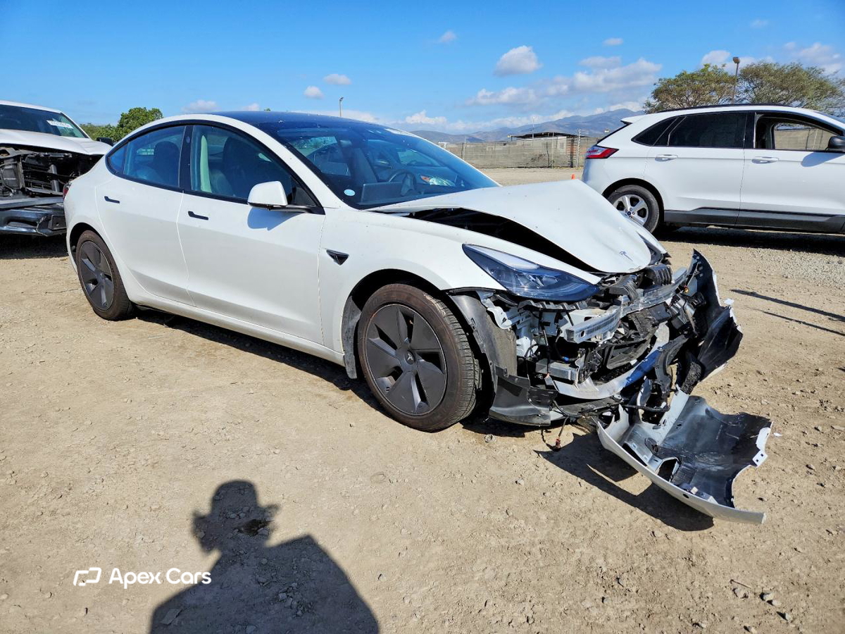 Tesla Model 3 2021