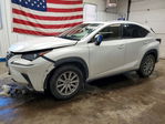 Lexus NX 2020