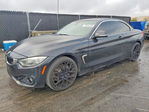 BMW Series 4 2015