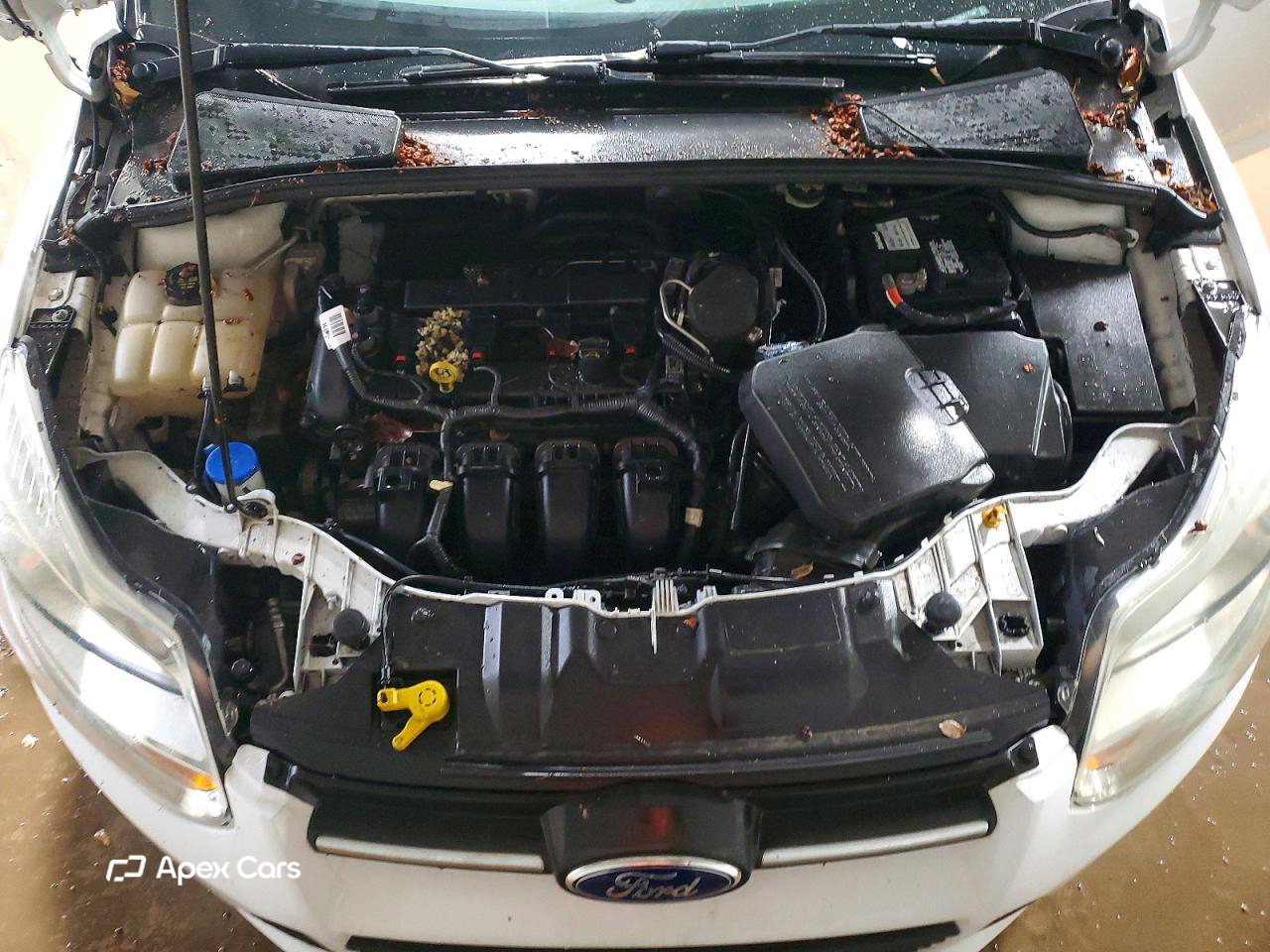 Ford Focus 2014