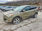 Ford Escape 2014
