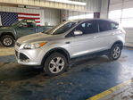 Ford Escape 2013