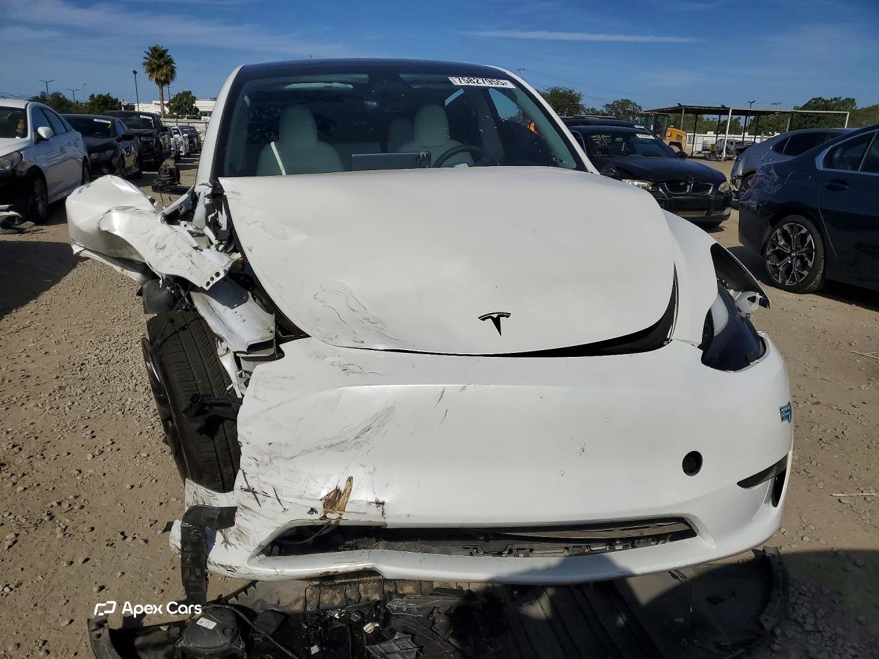 Tesla Model Y 2023