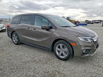 Honda Odyssey 2019