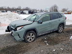 Toyota RAV 4 2019