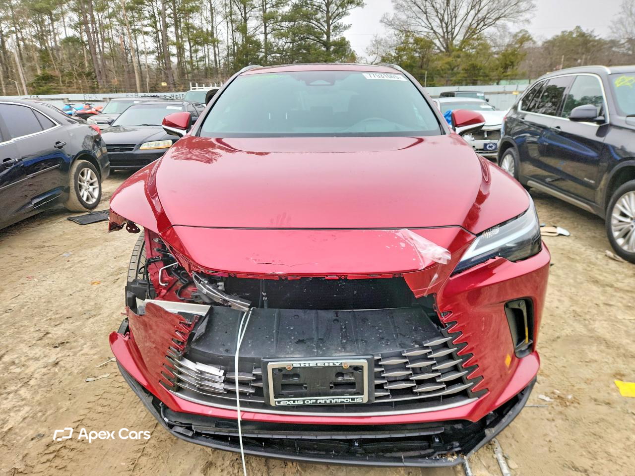 Lexus RX 2023