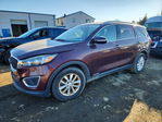 Kia Sorento 2017