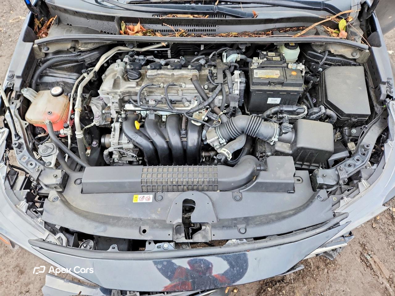 Toyota Corolla 2022