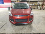 Ford Escape 2015