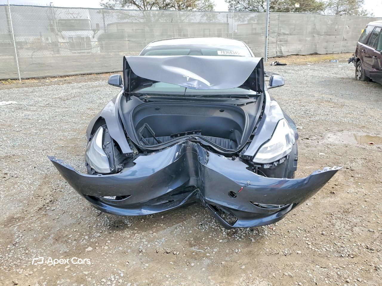 Tesla Model 3 2023