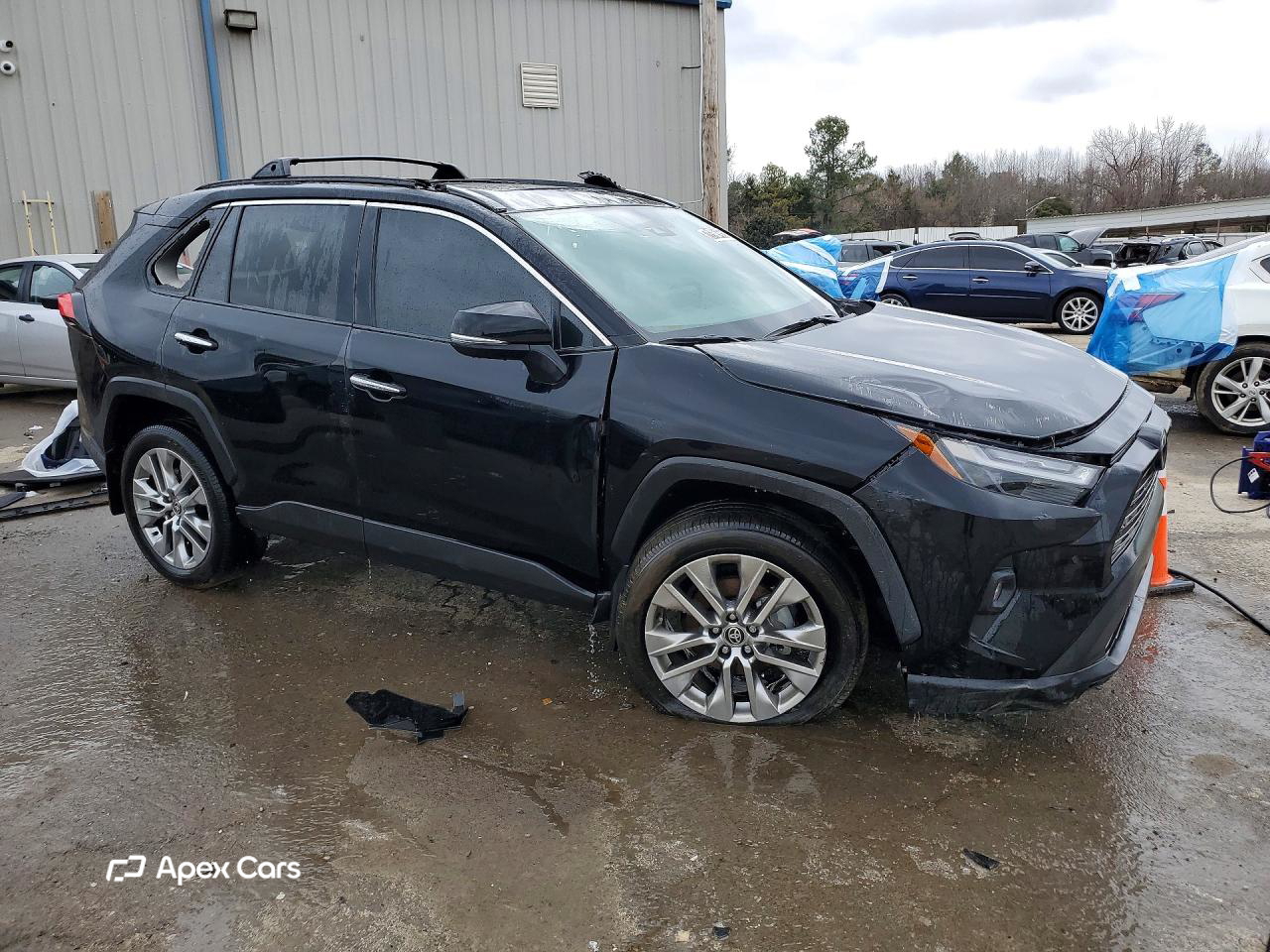 Toyota RAV 4 2024
