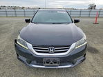 Honda Accord 2013