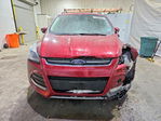 Ford Escape 2014