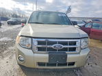 Ford Escape 2010