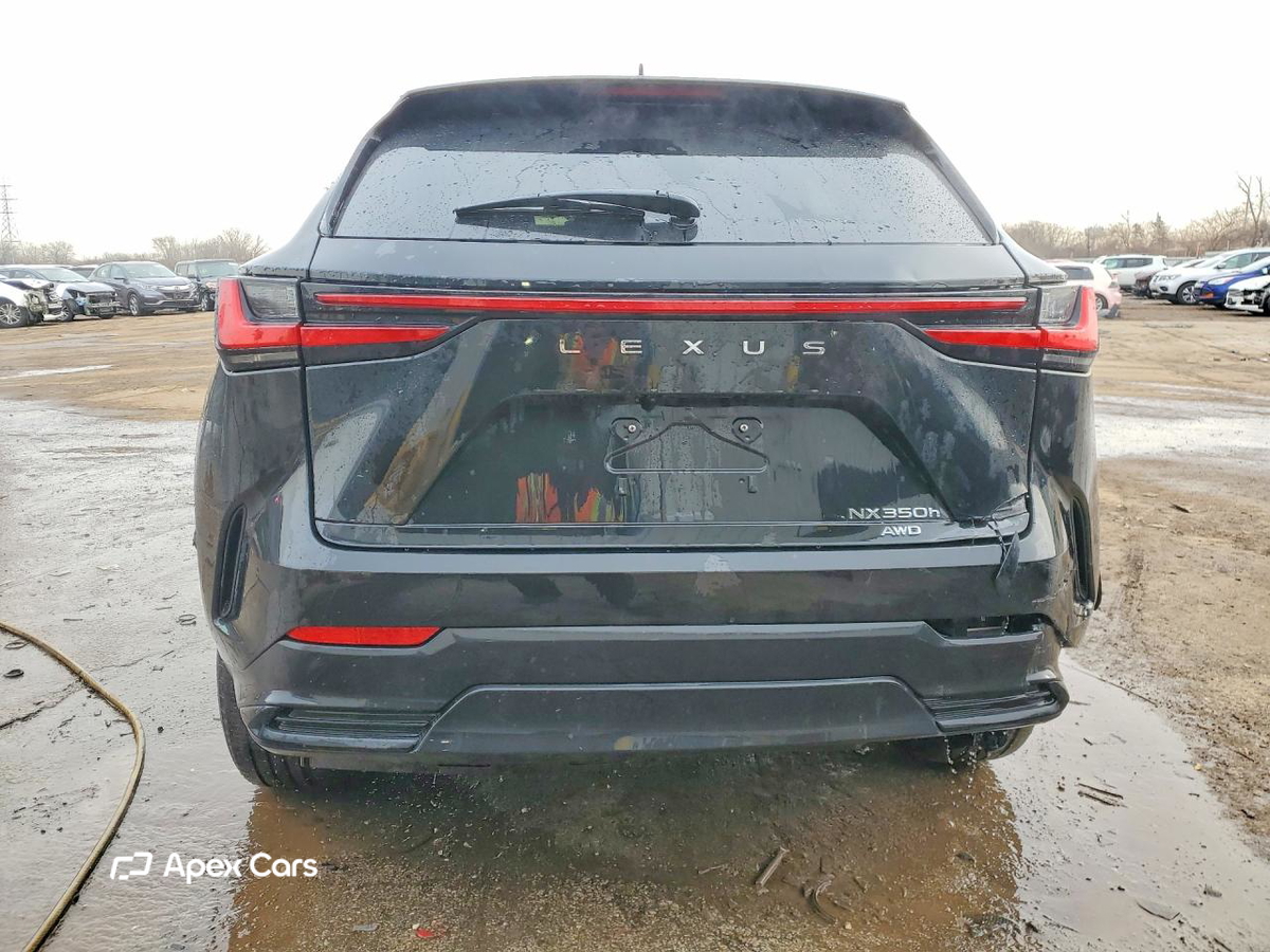 Lexus NX 2024