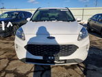 Ford Escape 2020