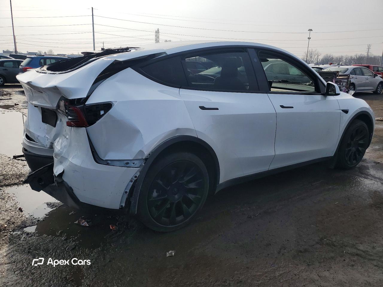 Tesla Model Y 2024