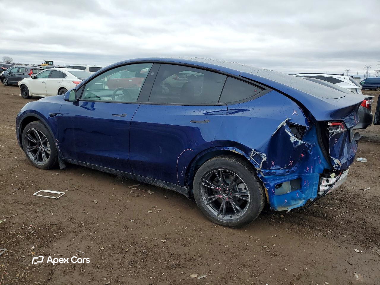 Tesla Model Y 2025