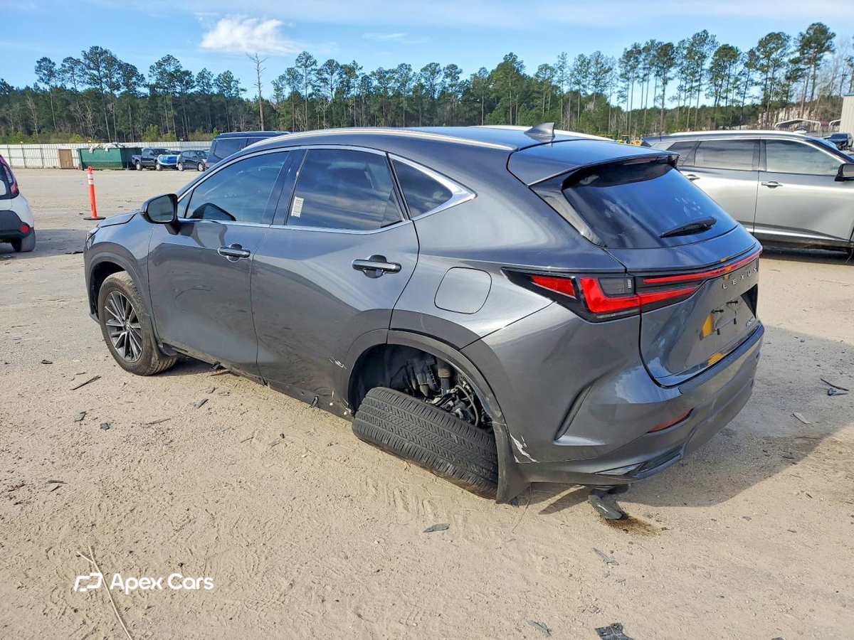 Lexus NX 2024