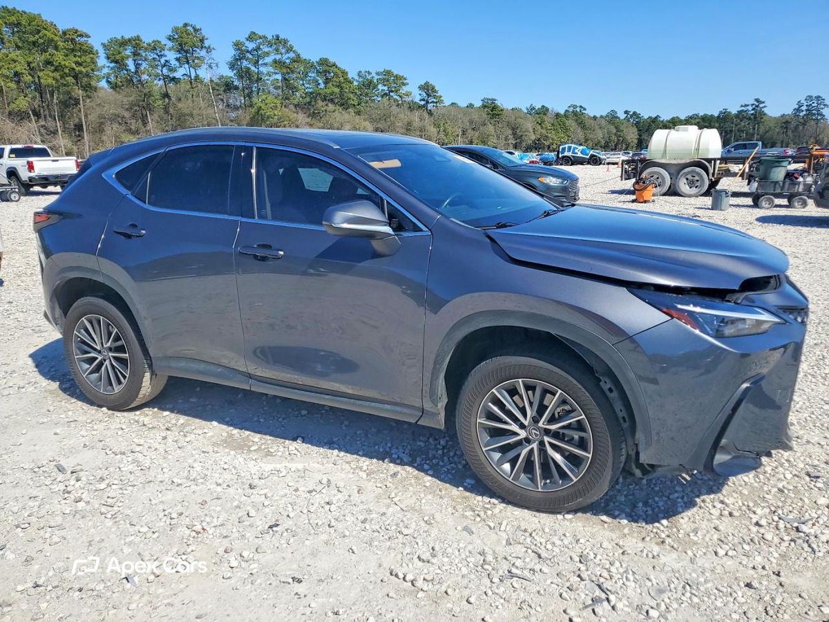Lexus NX 2022