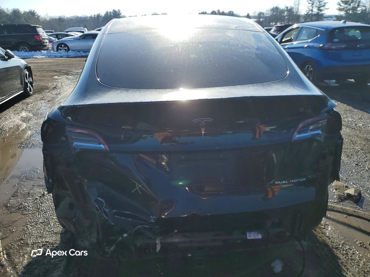 Tesla Model Y 2020