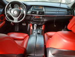 BMW X6 2010