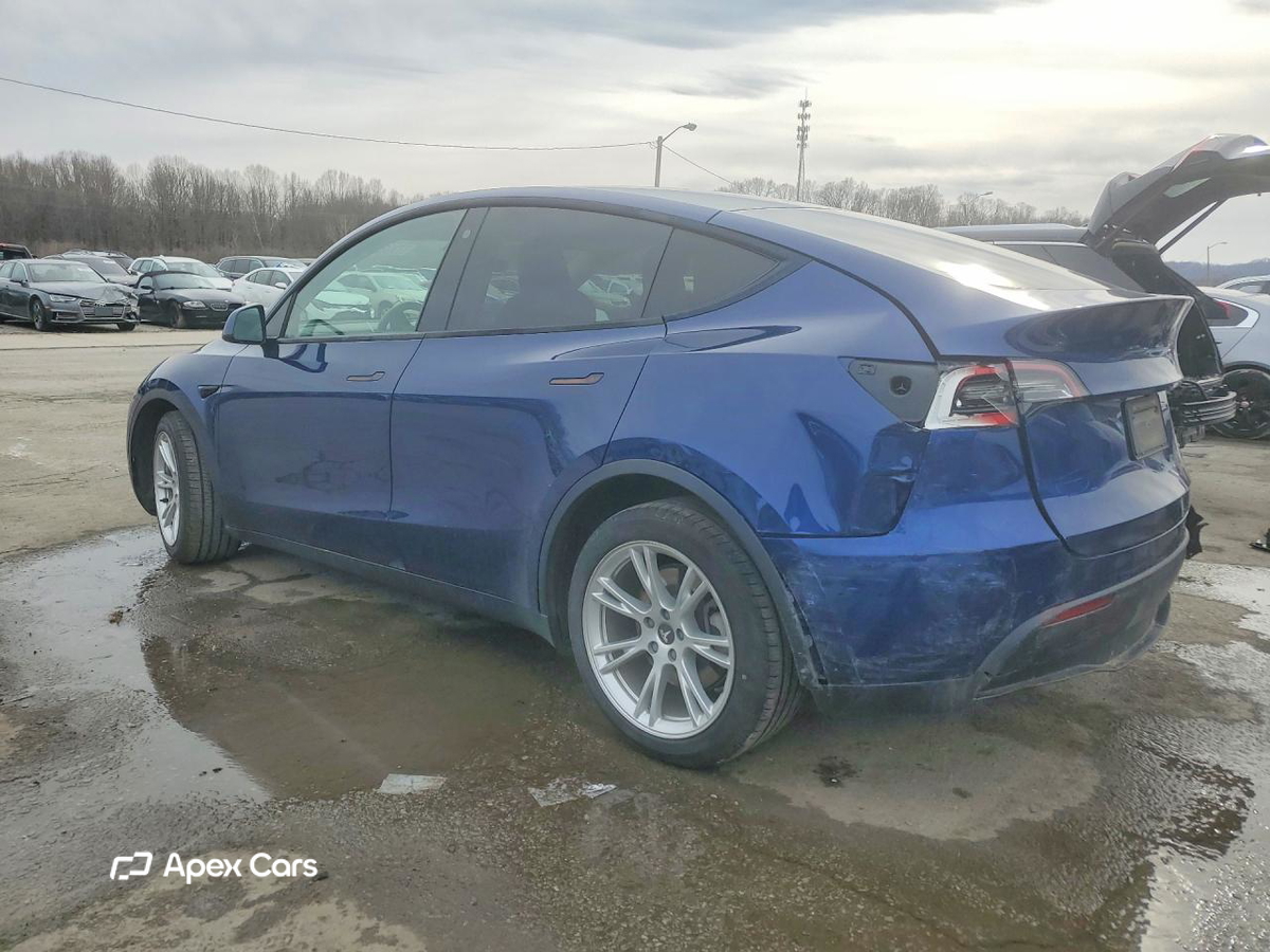 Tesla Model Y 2021