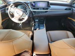 Lexus ES 2020