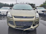 Ford Escape 2013