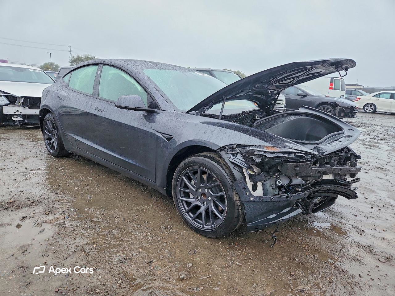 Tesla Model 3 2025