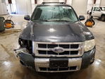 Ford Escape 2008