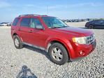Ford Escape 2012