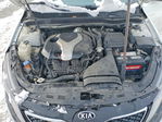 Kia Optima 2013