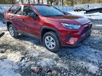 Toyota RAV 4 2025