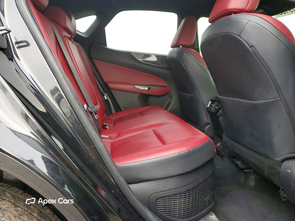 Lexus NX 2024