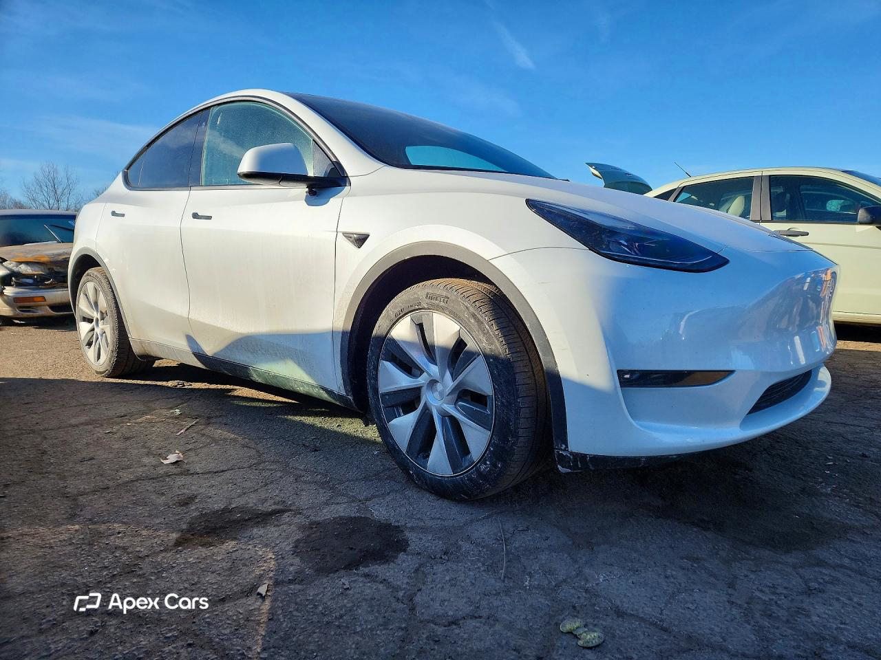 Tesla Model Y 2023