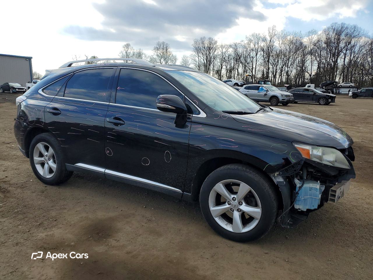 Lexus RX 2010