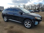 Lexus RX 2010