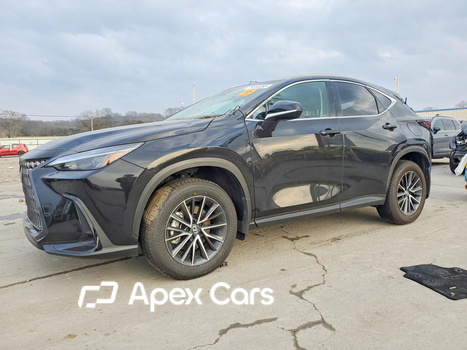 Lexus NX 2024 - Image 1 of 13