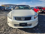 Honda Accord 2010