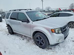 Ford Escape 2011