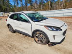 Ford Escape 2020