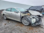 Lexus ES 2019