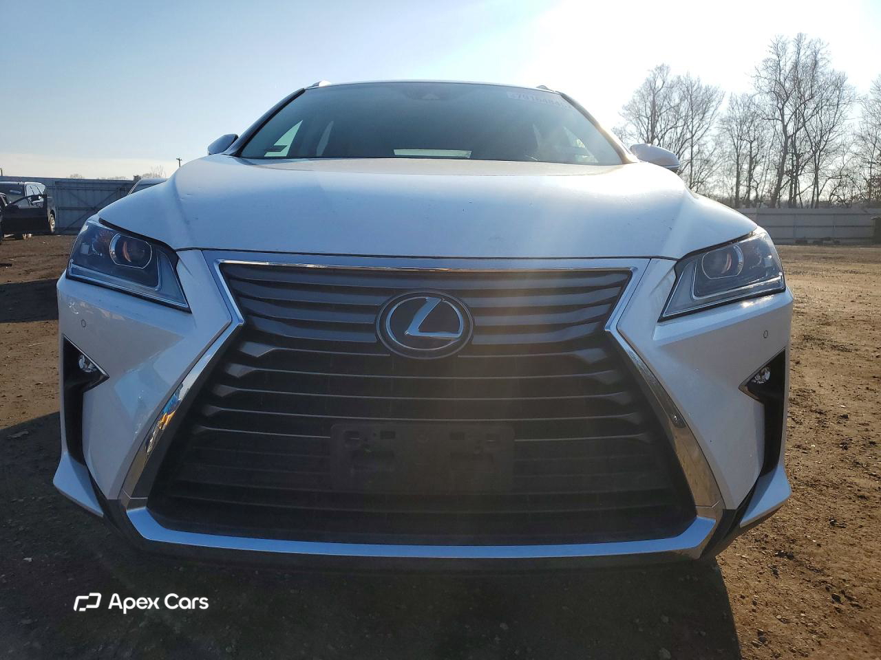 Lexus RX 2019