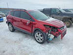 Ford Escape 2013
