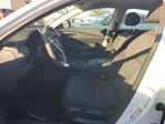 Honda Accord 2025