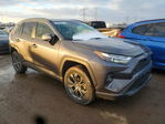 Toyota RAV 4 2023