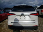 Lexus NX 2020