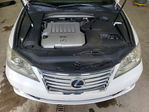 Lexus ES 2010